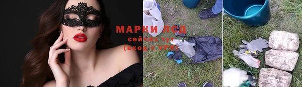 СК Елизово