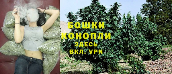 СК Елизово