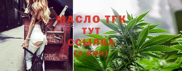 СК Елизово