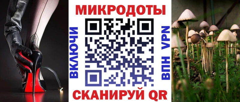 Купить где  Кузнецк  Галлюциногенные грибы GOLDEN TEACHER 